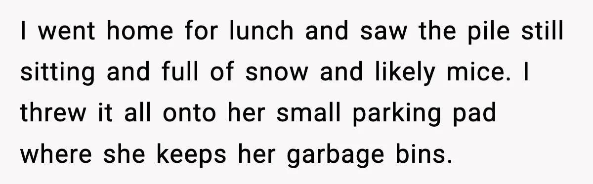 I went home for lunch and saw the pile still sitting and full of snow and likely mice. I threw it all onto her small parking pad where she keeps...