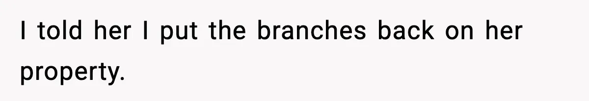 I told her I put the branches back on her property.
