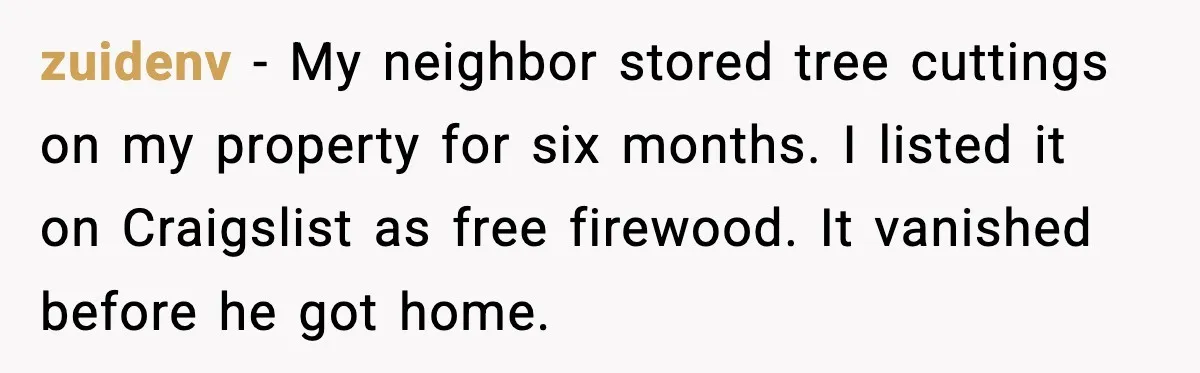 zuidenv - My neighbor stored tree cuttings on my property for six months. I listed it on Craigslist as free firewood. It vanished before he got home.