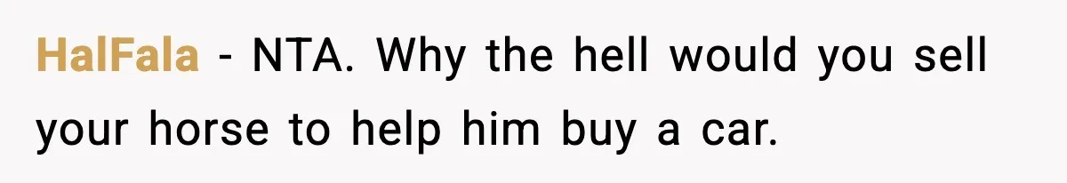 HalFala - NTA. Why the hell would you sell your horse to help him buy a car.