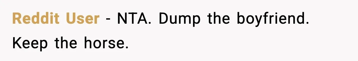 Reddit User - NTA. Dump the boyfriend. Keep the horse.