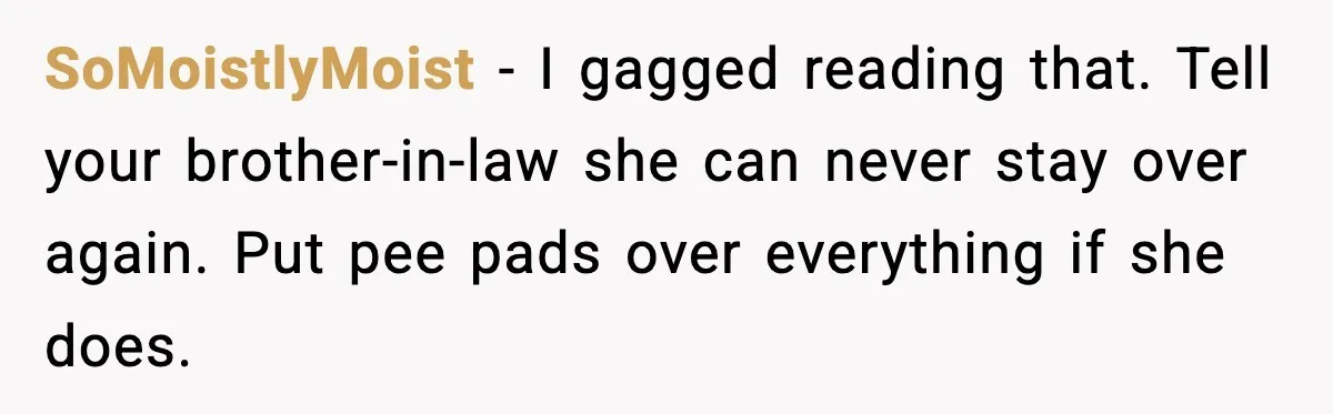 SoMoistlyMoist - I gagged reading that. Tell your brother-in-law she can never stay over again. Put pee pads over everything if she does.