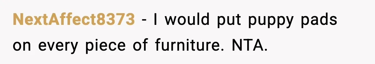 NextAffect8373 - I would put puppy pads on every piece of furniture. NTA.