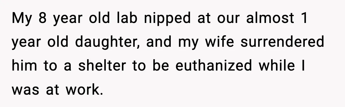 My 8 year old lab nipped at our almost 1 year old daughter, and my wife surrendered him to a shelter to be euthanized while I was at work.