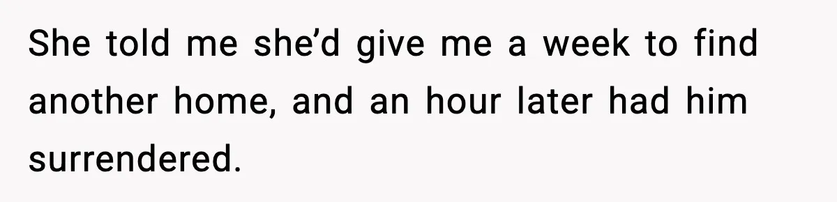 She told me she’d give me a week to find another home, and an hour later had him surrendered.
