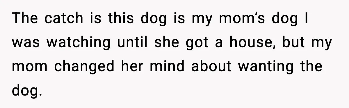 The catch is this dog is my mom’s dog I was watching until she got a house, but my mom changed her mind about wanting the dog.
