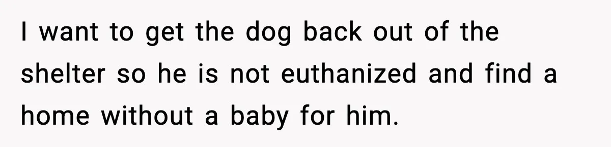 I want to get the dog back out of the shelter so he is not euthanized and find a home without a baby for him.