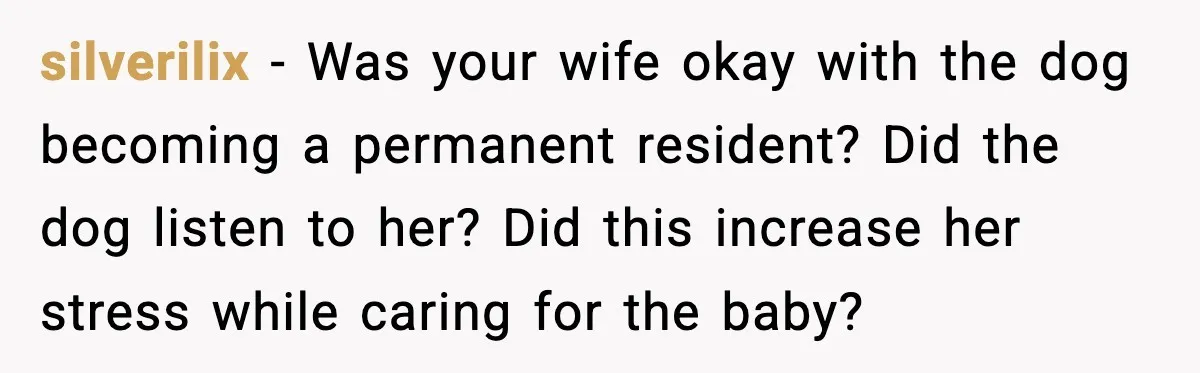 silverilix - Was your wife okay with the dog becoming a permanent resident? Did the dog listen to her? Did this increase her stress while caring for the baby?