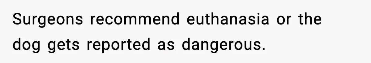Surgeons recommend euthanasia or the dog gets reported as dangerous.