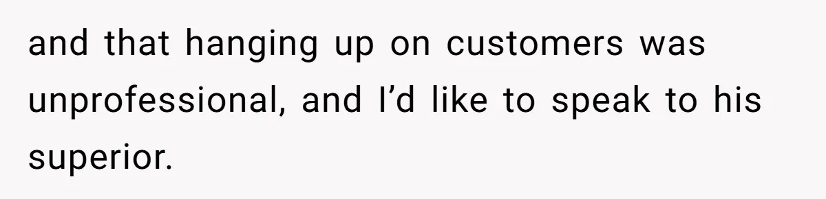 and that hanging up on customers was unprofessional, and I’d like to speak to his superior.