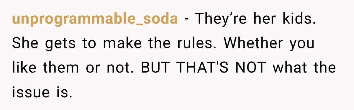unprogrammable_soda − They’re her kids. She gets to make the rules. Whether you like them or not. BUT THAT'S NOT what the issue is.