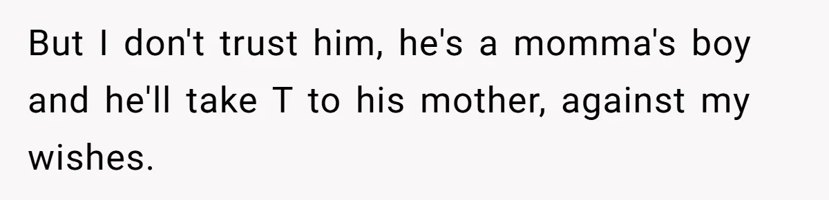 But I don't trust him, he's a momma's boy and he'll take T to his mother, against my wishes.