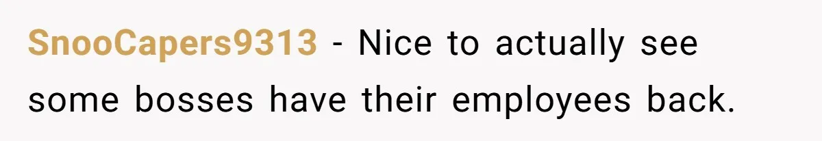 SnooCapers9313 − Nice to actually see some bosses have their employees back.