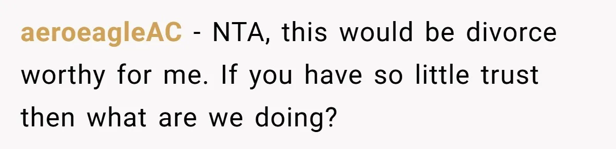aeroeagleAC − NTA, this would be divorce worthy for me. If you have so little trust then what are we doing?