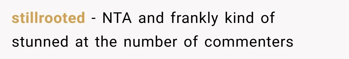 stillrooted − NTA and frankly kind of stunned at the number of commenters