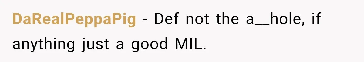 DaRealPeppaPig − Def not the a__hole, if anything just a good MIL.