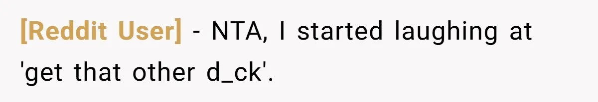 [Reddit User] − NTA, I started laughing at 'get that other d_ck'.