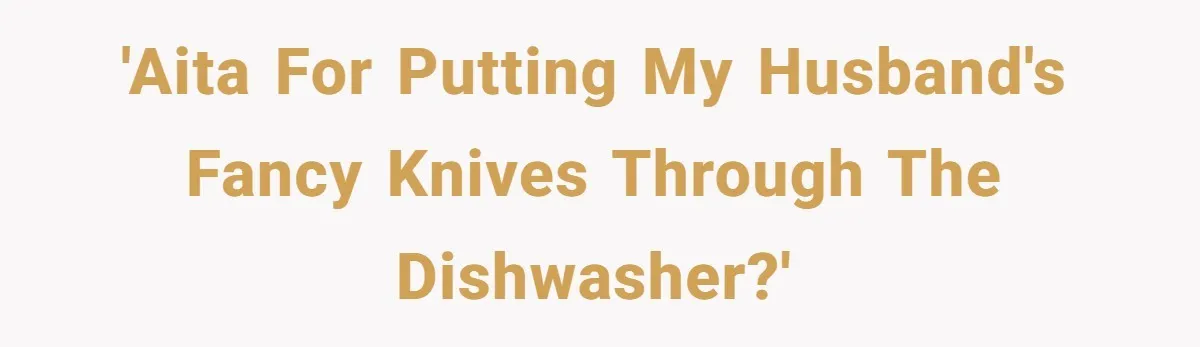 'AITA for putting my husband's fancy knives through the dishwasher?'
