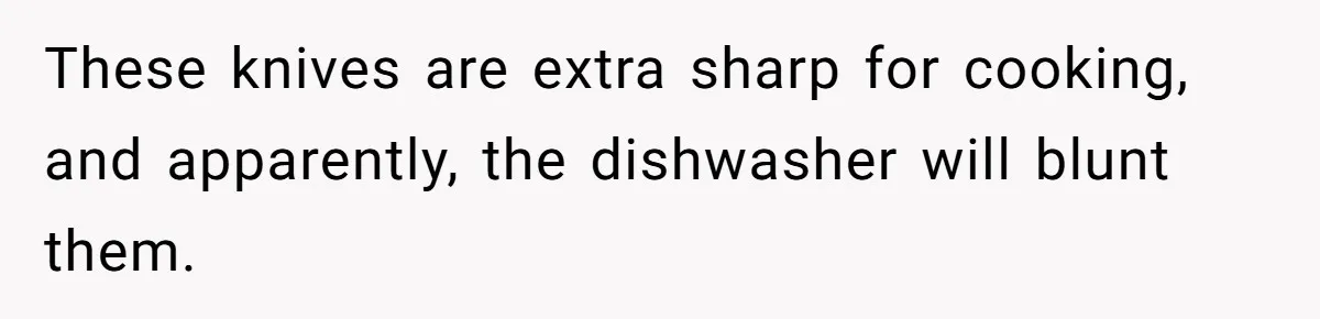 These knives are extra sharp for cooking, and apparently, the dishwasher will blunt them.