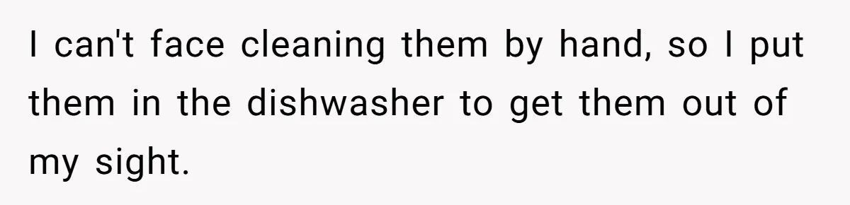 I can't face cleaning them by hand, so I put them in the dishwasher to get them out of my sight.