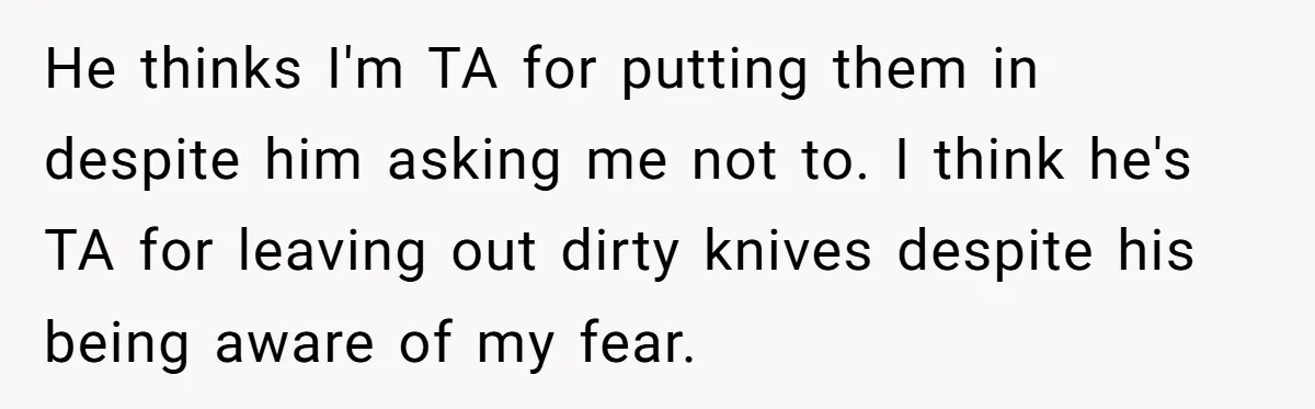 He thinks I'm TA for putting them in despite him asking me not to. I think he's TA for leaving out dirty knives despite his being aware of my fear.