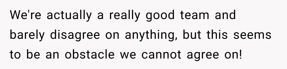 We're actually a really good team and barely disagree on anything, but this seems to be an obstacle we cannot agree on!