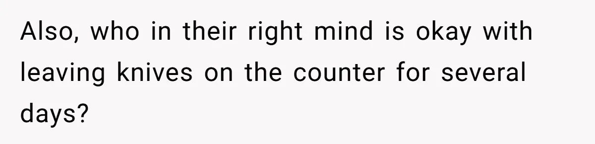 Also, who in their right mind is okay with leaving knives on the counter for several days?