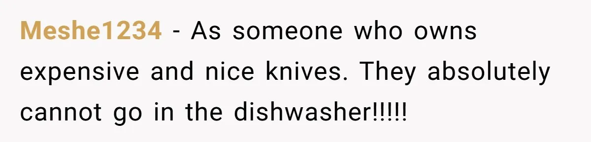 Meshe1234 − As someone who owns expensive and nice knives. They absolutely cannot go in the dishwasher!!!!!