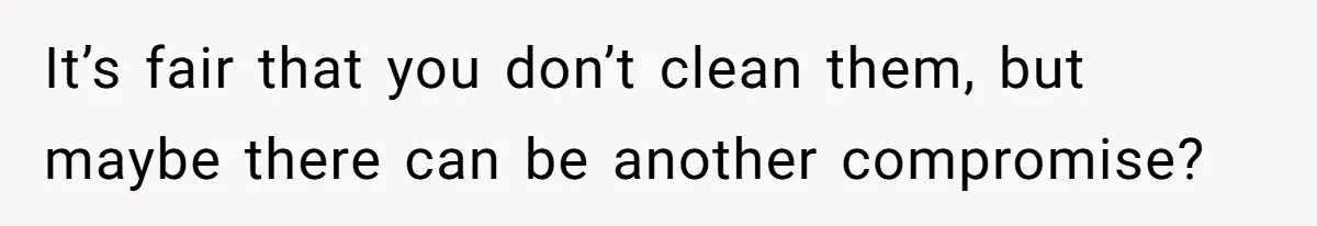 It’s fair that you don’t clean them, but maybe there can be another compromise?