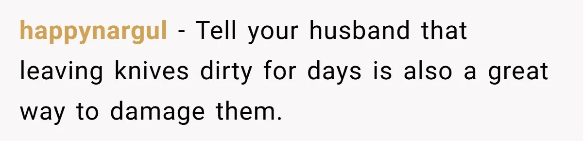 happynargul − Tell your husband that leaving knives dirty for days is also a great way to damage them.