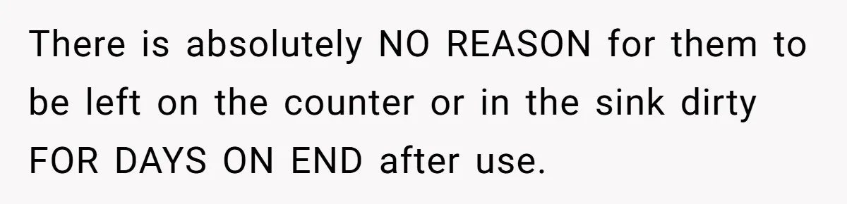 There is absolutely NO REASON for them to be left on the counter or in the sink dirty FOR DAYS ON END after use.