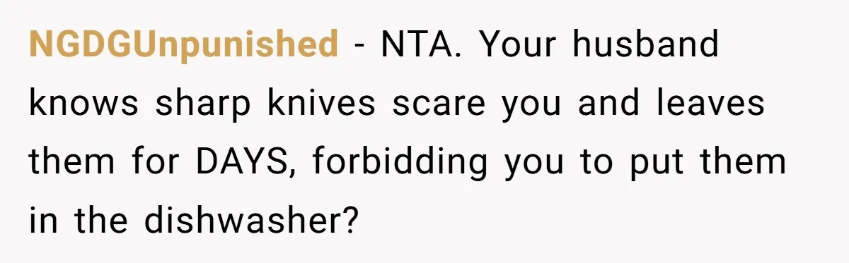 NGDGUnpunished − NTA. Your husband knows sharp knives scare you and leaves them for DAYS, forbidding you to put them in the dishwasher?