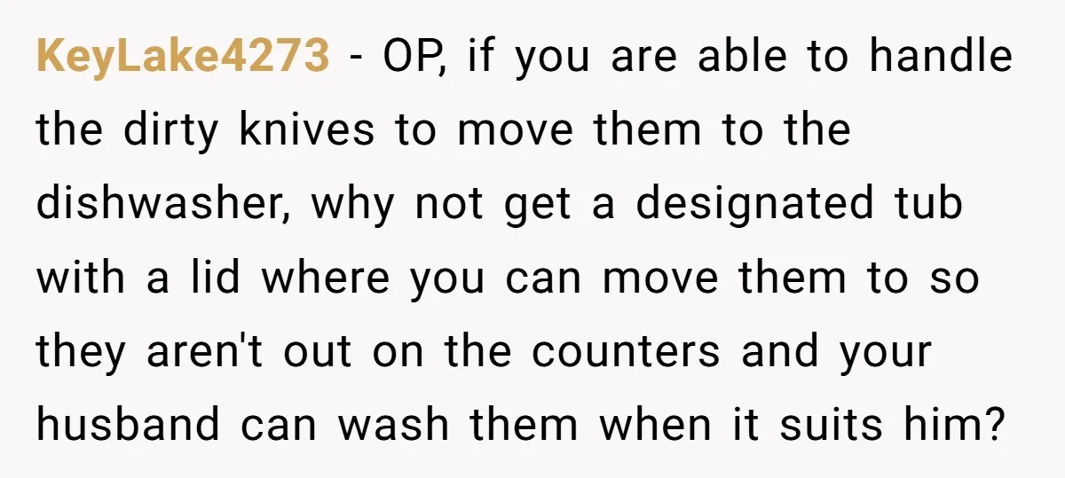 KeyLake4273 − OP, if you are able to handle the dirty knives to move them to the dishwasher, why not get a designated tub with a lid where you can...