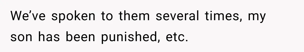 We’ve spoken to them several times, my son has been punished, etc.