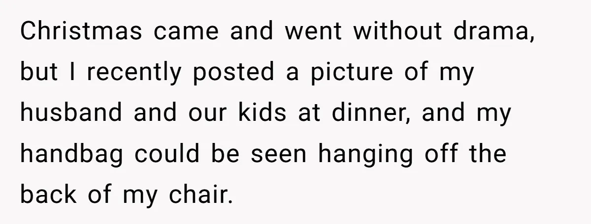 Christmas came and went without drama, but I recently posted a picture of my husband and our kids at dinner, and my handbag could be seen hanging off the back...
