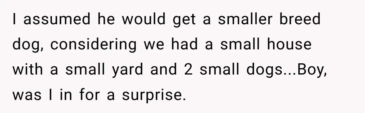 I assumed he would get a smaller breed dog, considering we had a small house with a small yard and 2 small dogs...Boy, was I in for a surprise.