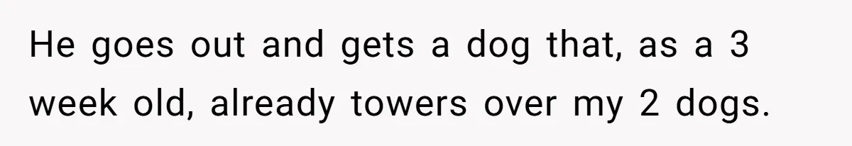 He goes out and gets a dog that, as a 3 week old, already towers over my 2 dogs.