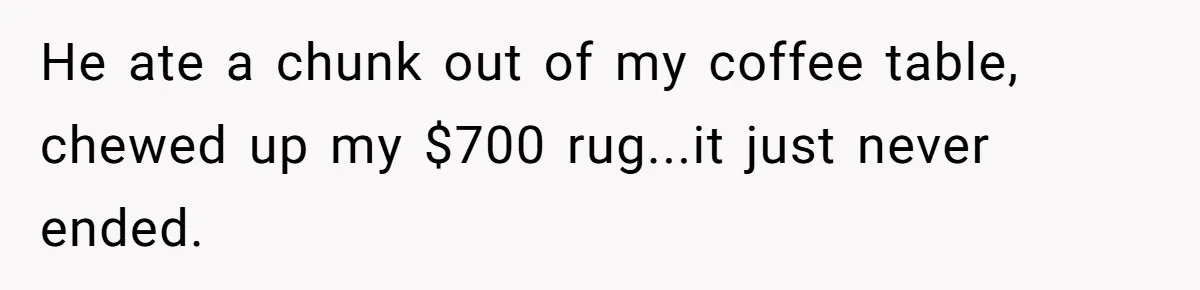 He ate a chunk out of my coffee table, chewed up my $700 rug...it just never ended.