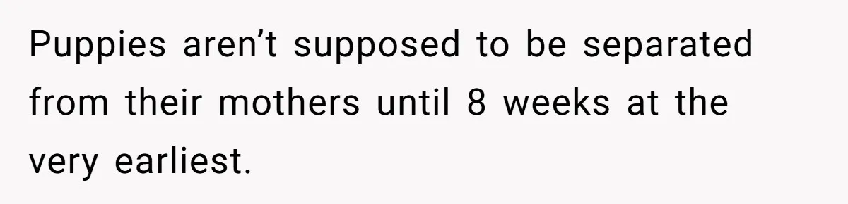 Puppies aren’t supposed to be separated from their mothers until 8 weeks at the very earliest.