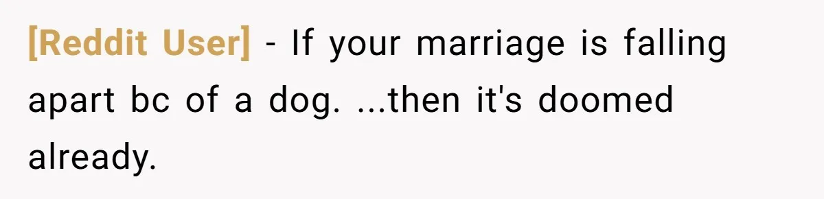 [Reddit User] − If your marriage is falling apart bc of a dog. ...then it's doomed already.