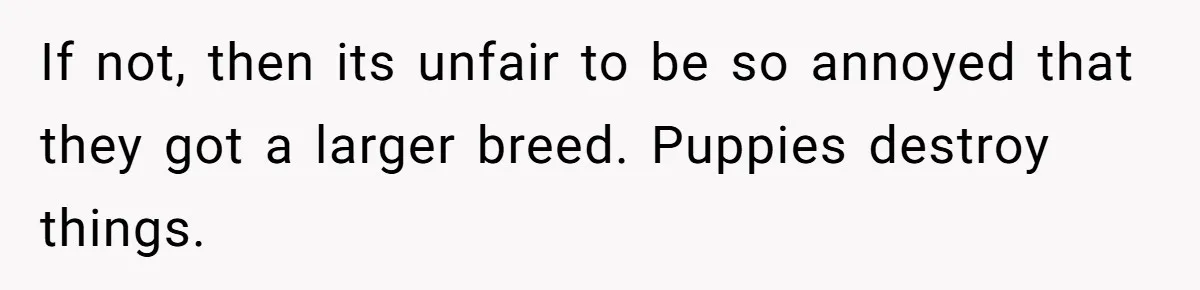 If not, then its unfair to be so annoyed that they got a larger breed. Puppies destroy things.