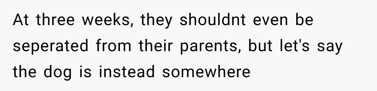 At three weeks, they shouldnt even be seperated from their parents, but let's say the dog is instead somewhere
