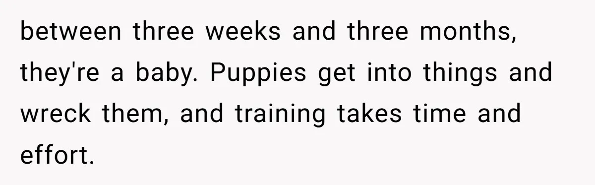 between three weeks and three months, they're a baby. Puppies get into things and wreck them, and training takes time and effort.