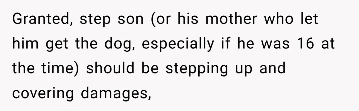 Granted, step son (or his mother who let him get the dog, especially if he was 16 at the time) should be stepping up and covering damages,