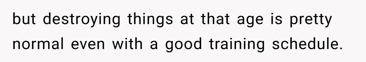 but destroying things at that age is pretty normal even with a good training schedule.
