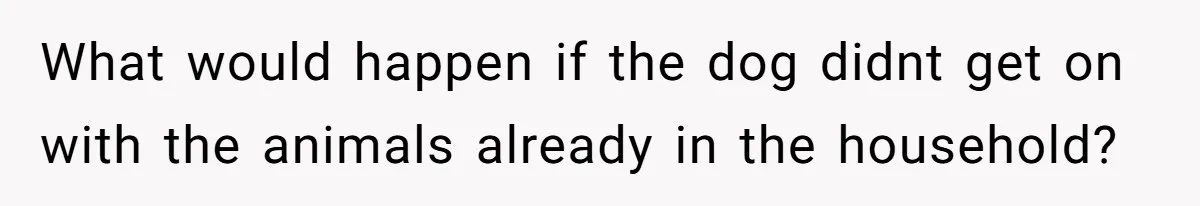 What would happen if the dog didnt get on with the animals already in the household?