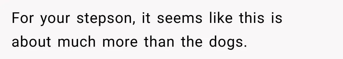 For your stepson, it seems like this is about much more than the dogs.