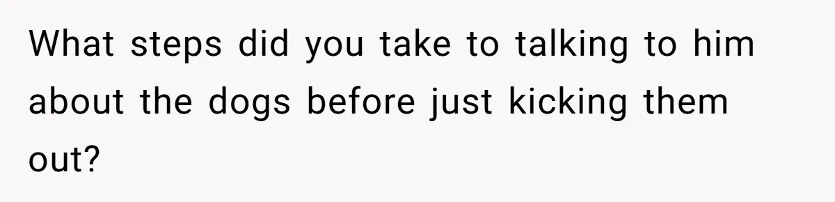 What steps did you take to talking to him about the dogs before just kicking them out?