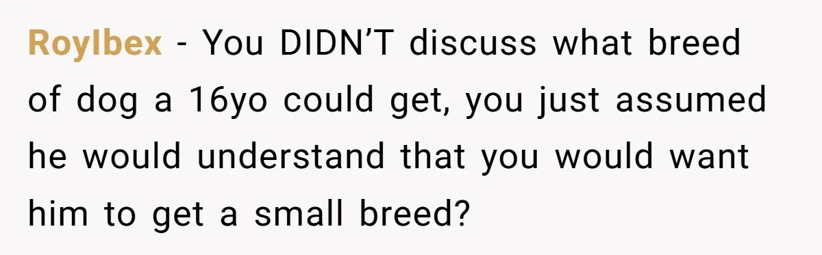 RoyIbex − You DIDN’T discuss what breed of dog a 16yo could get, you just assumed he would understand that you would want him to get a small breed?