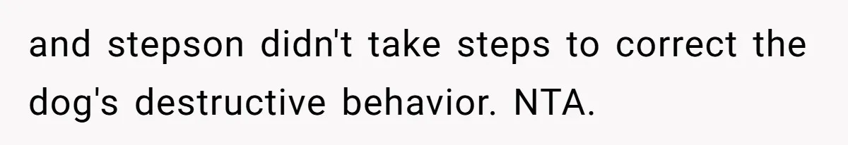 and stepson didn't take steps to correct the dog's destructive behavior. NTA.
